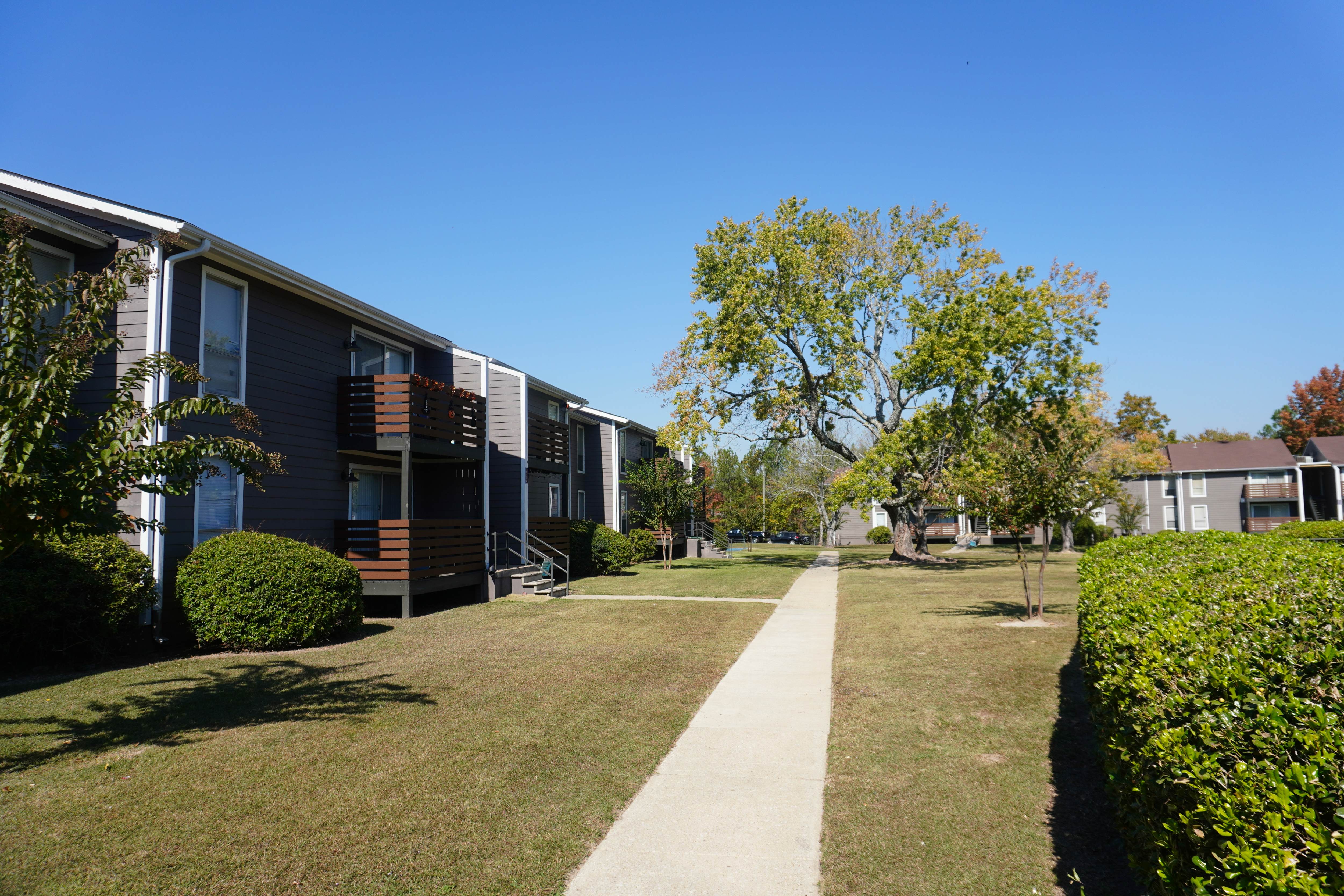 Raintree Apartments – photo 5