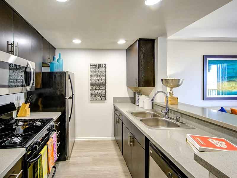 Elevate Long Beach – photo 2