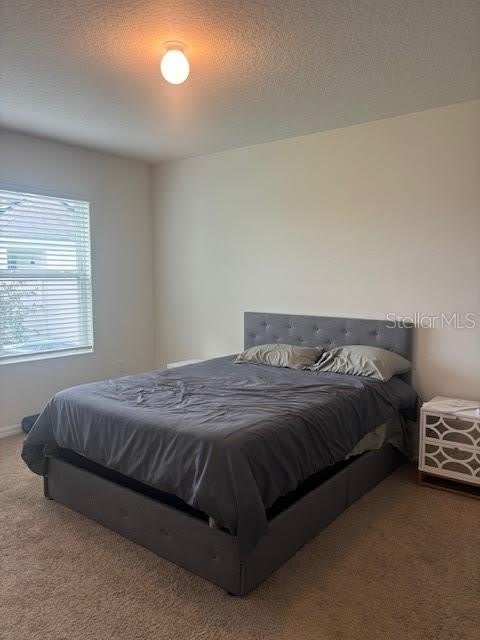 32696 Pez Landing Lane – photo 4