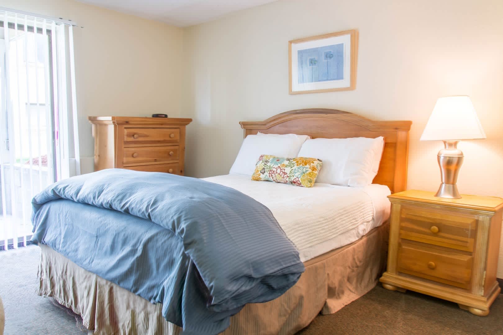 Princeton Park Apartments – photo 4