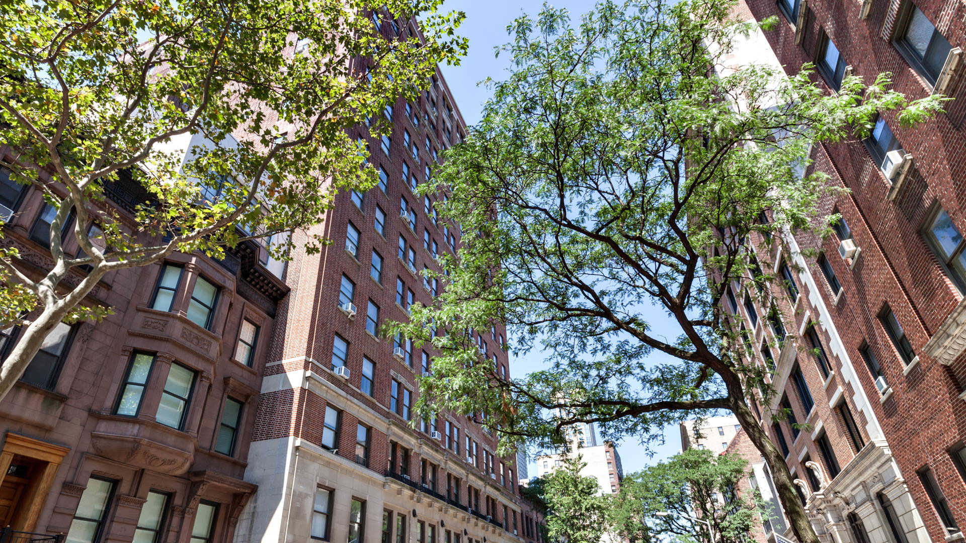 Parc Coliseum Apartments – photo 2