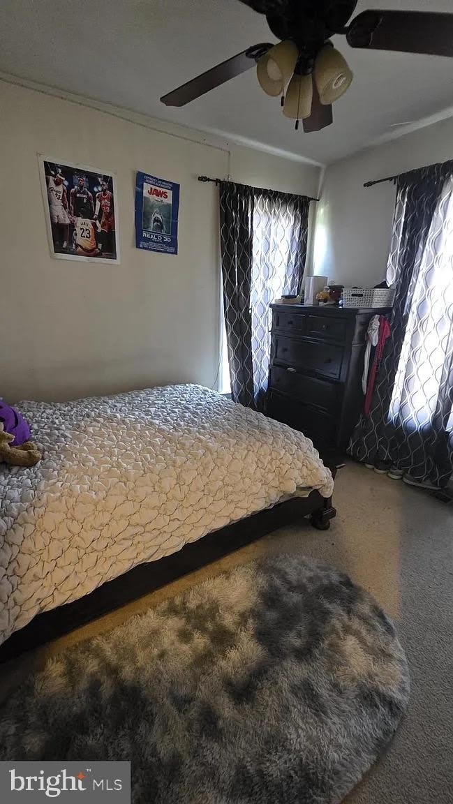 22167 BREITLING Terrace – photo 4