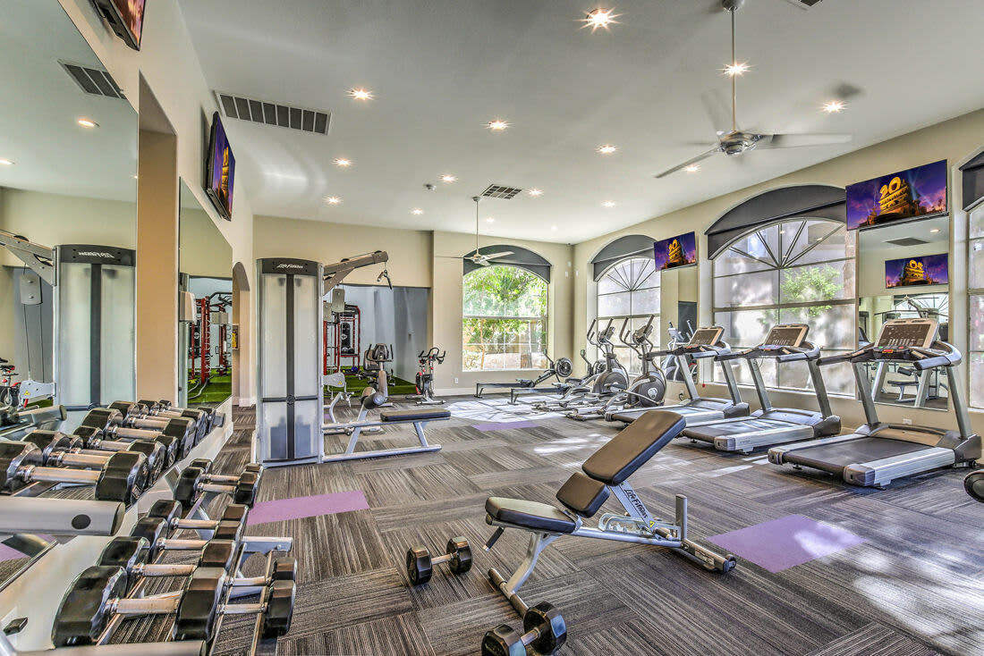 Calypso Apartments – photo 3