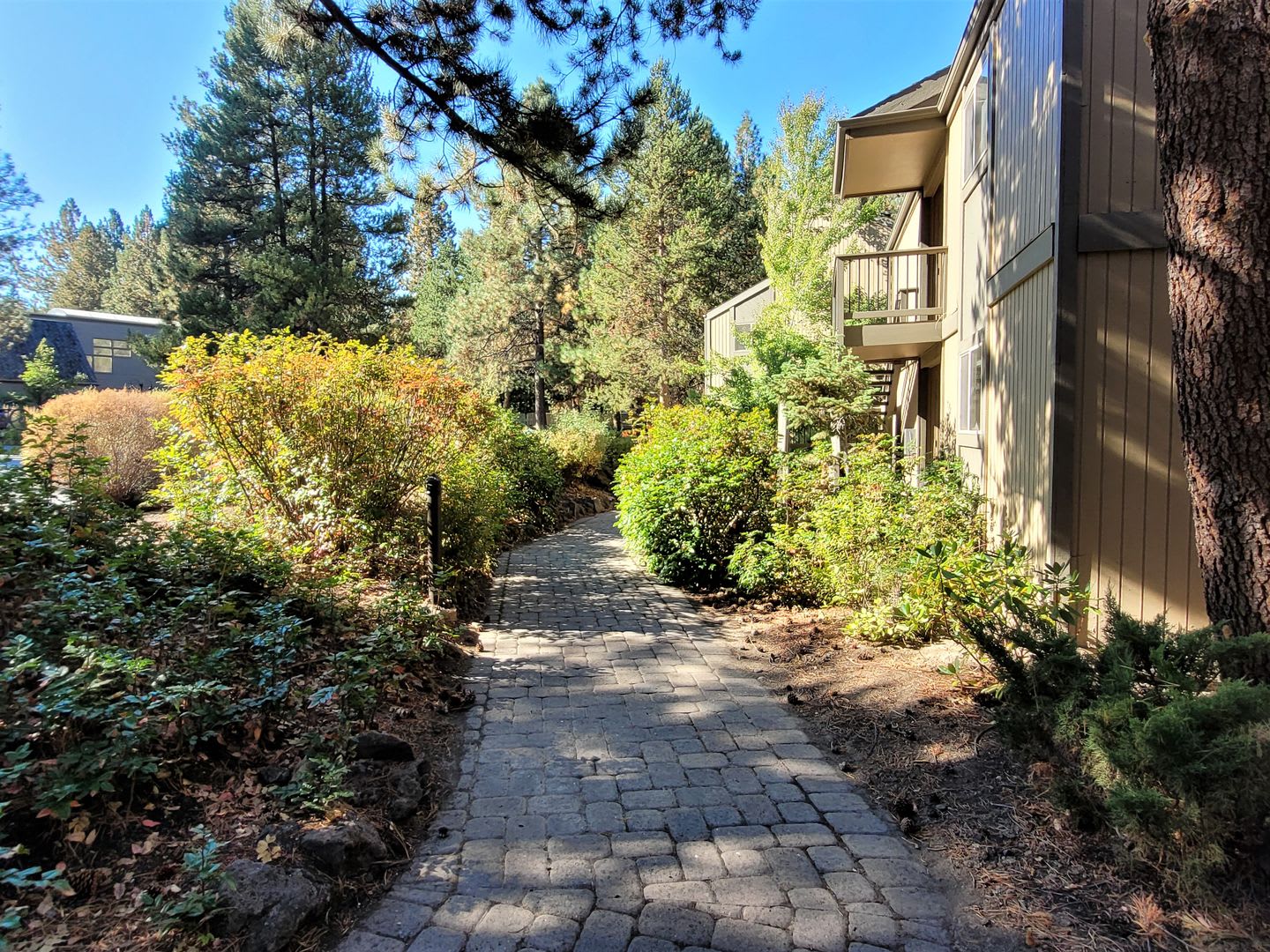 Mt. Bachelor Village Condo #207 – photo 4