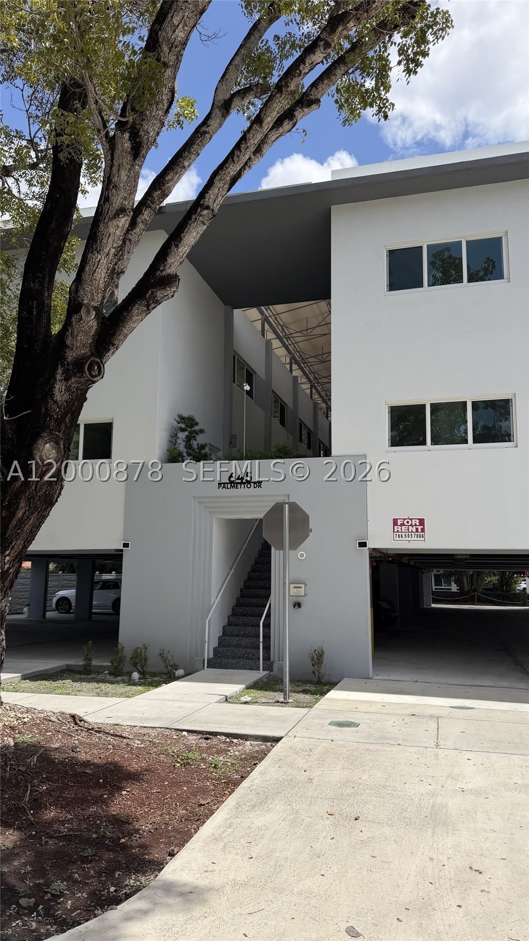 645 Palmetto Dr – photo 2