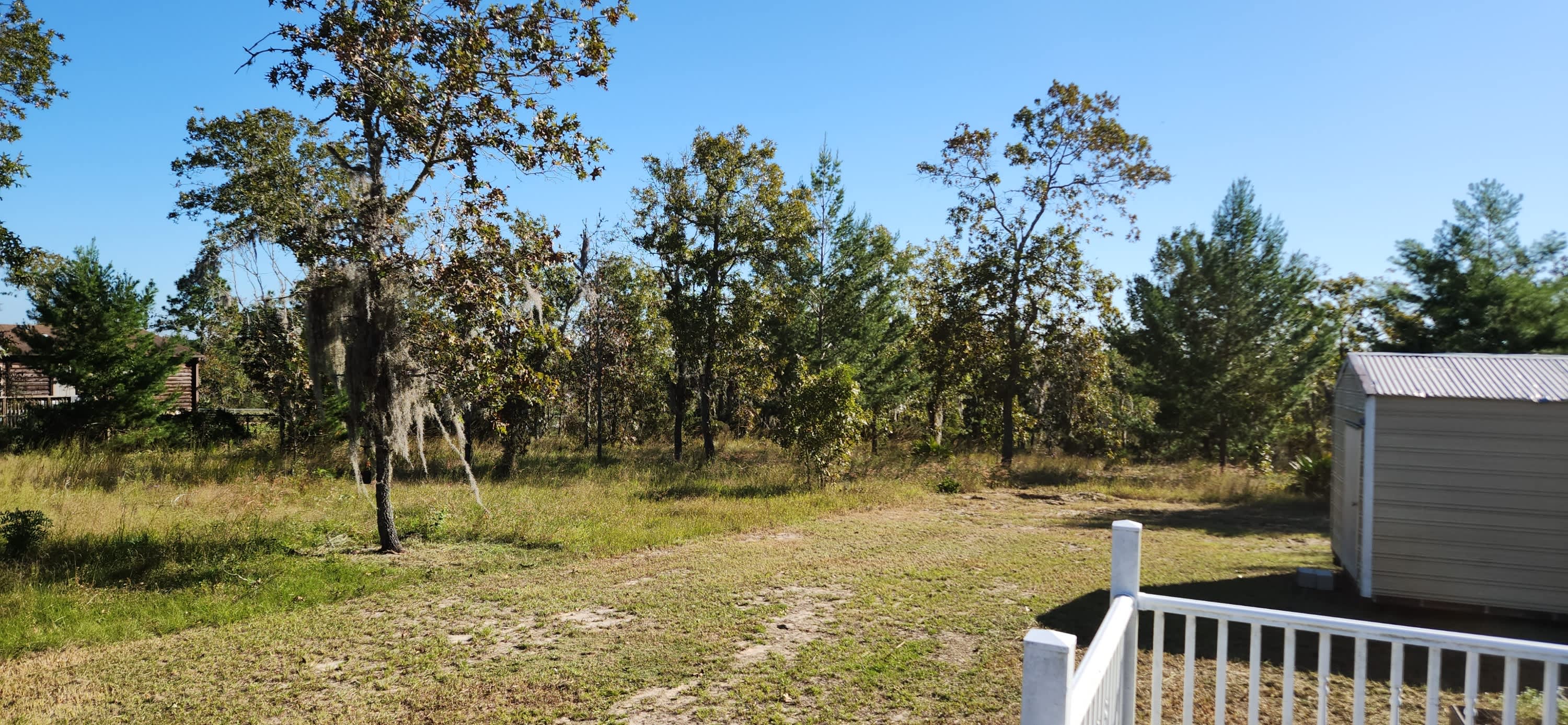 246 Paxon Street – photo 4