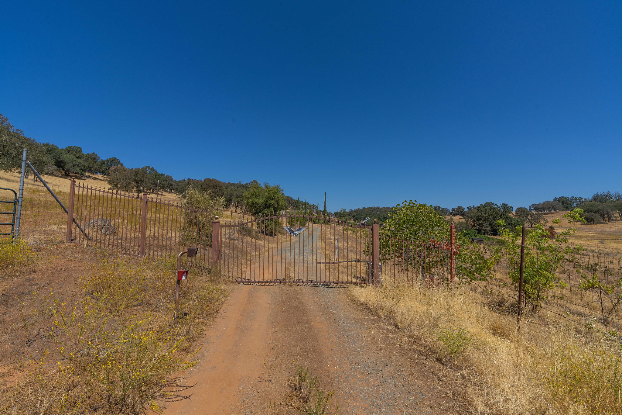 9079 Miller Way – photo 4