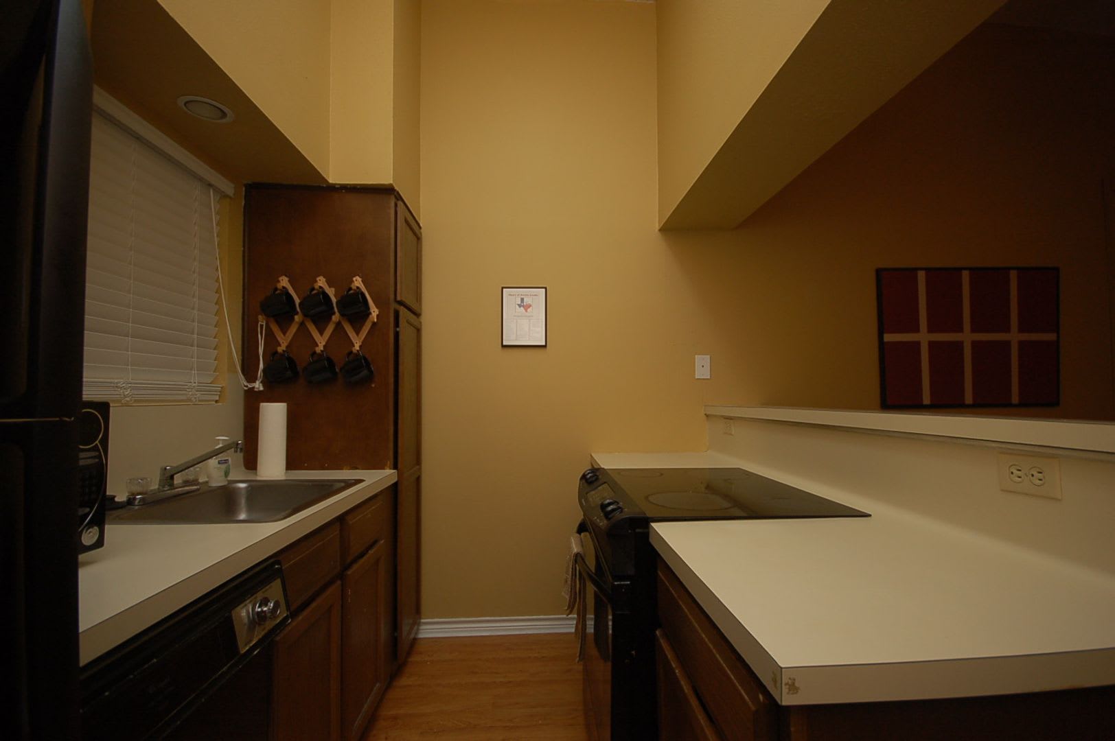 Buena Vista Apt. 312 – photo 4