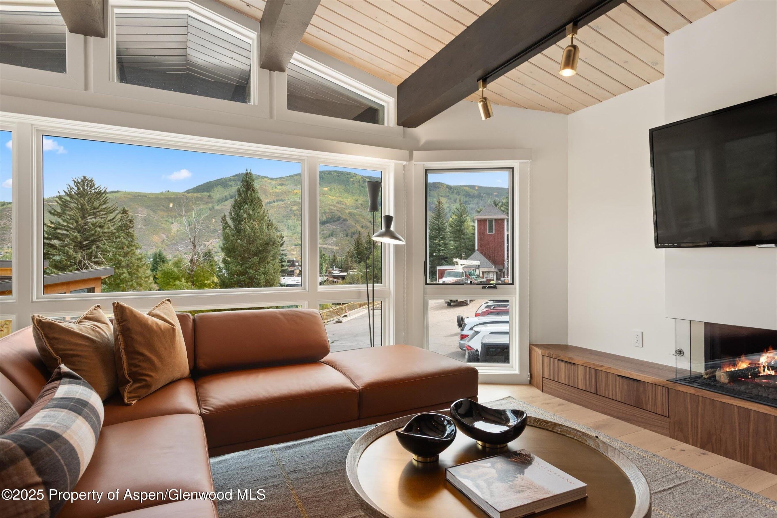 809 S Aspen Street – photo 4