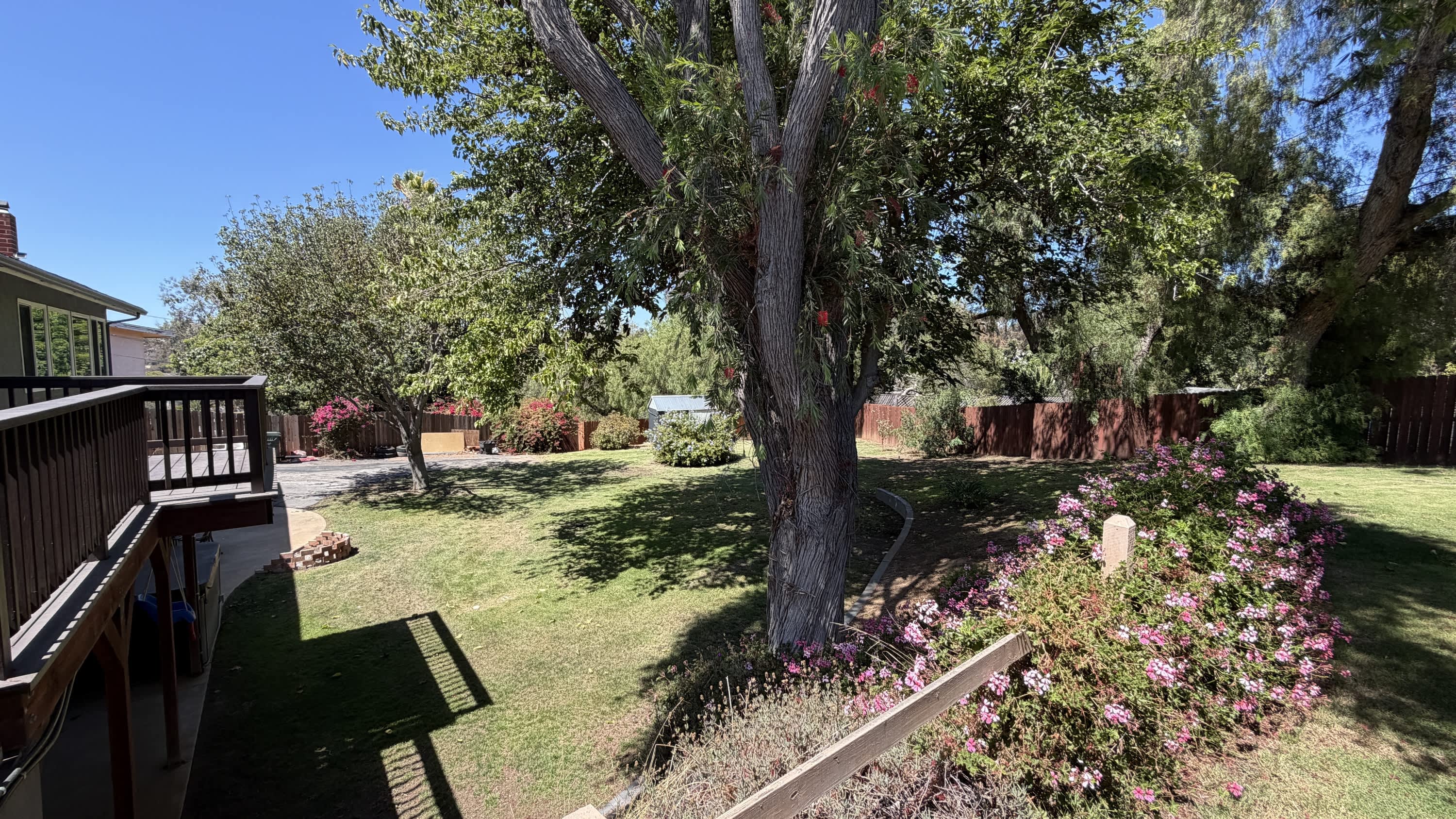 3709 Avenida Palo Verde – photo 5