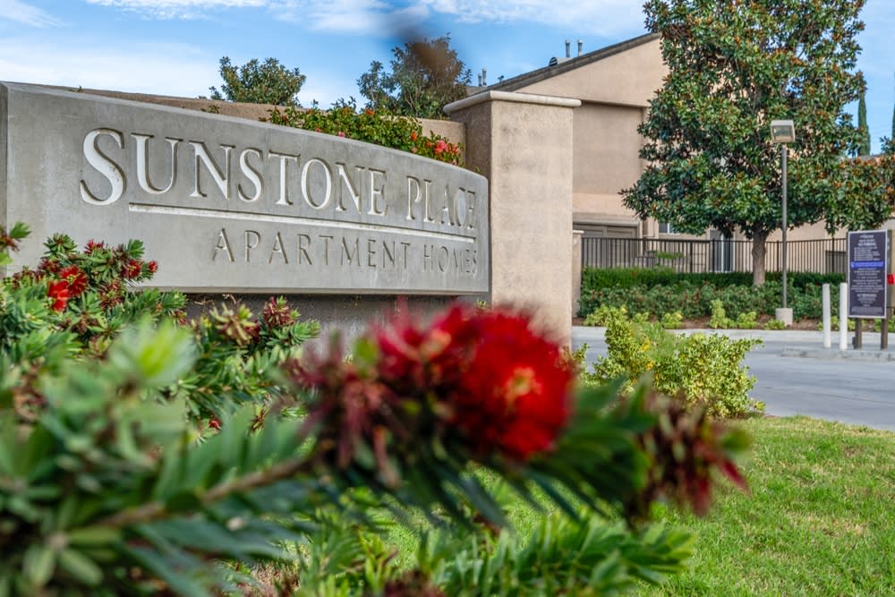 Sunstone Place – photo 2