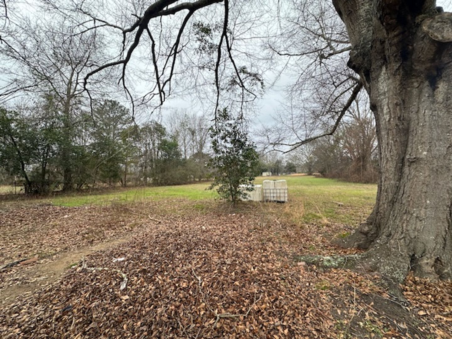 Home For Rent In Pike Road – photo 2
