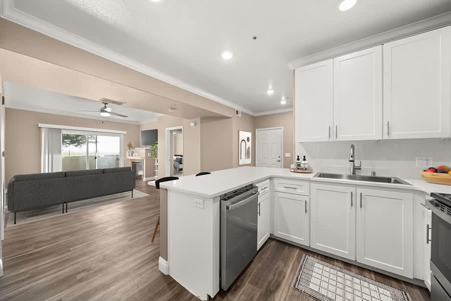 8574 Dianthus Way – photo 4