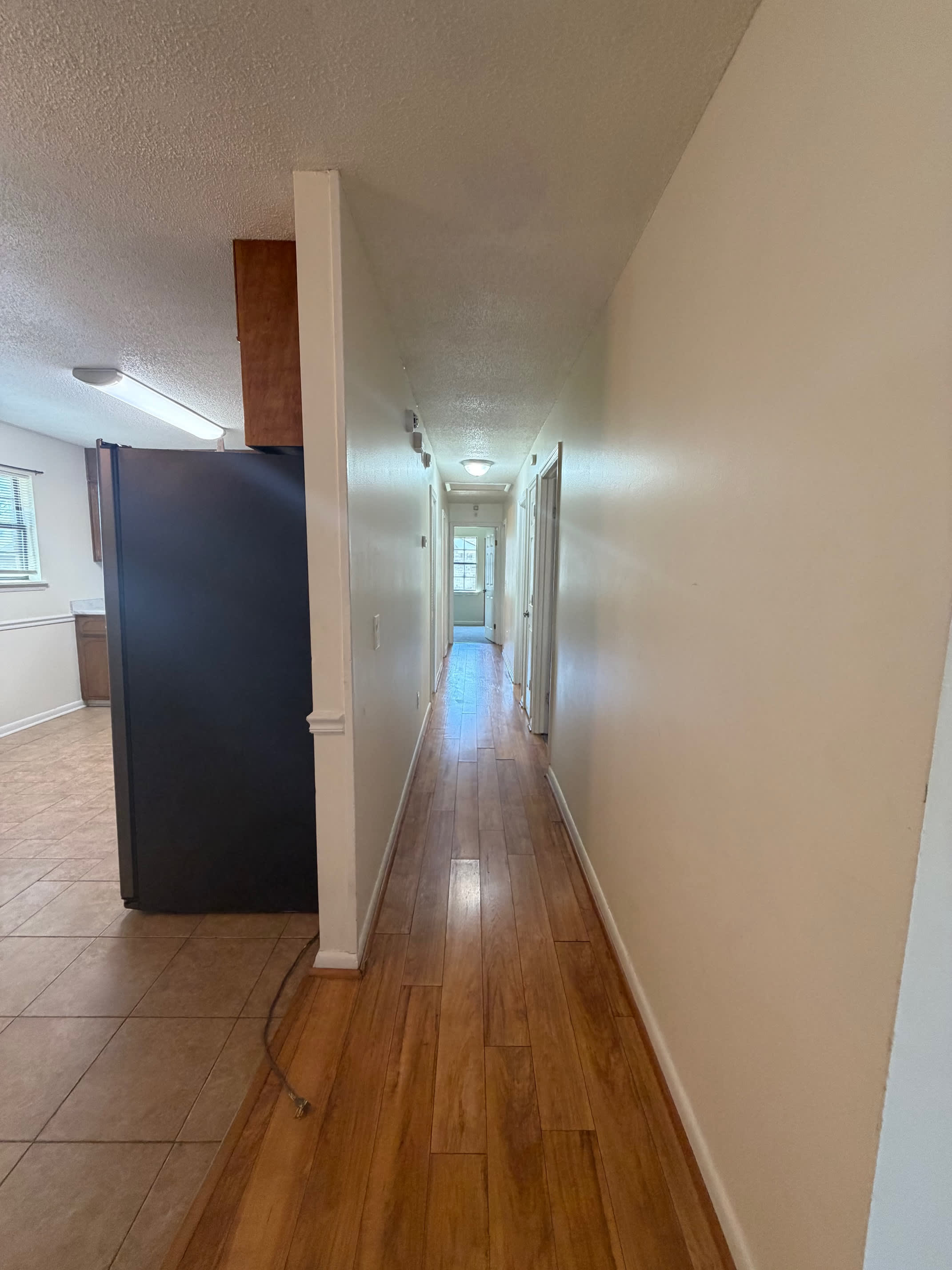 280 Whitetail Circle – photo 4
