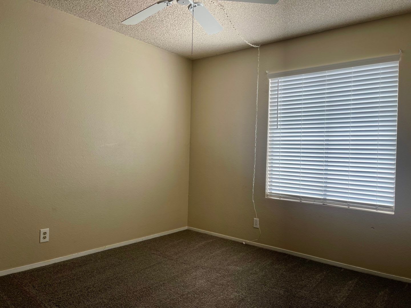 Upper Unit – photo 4
