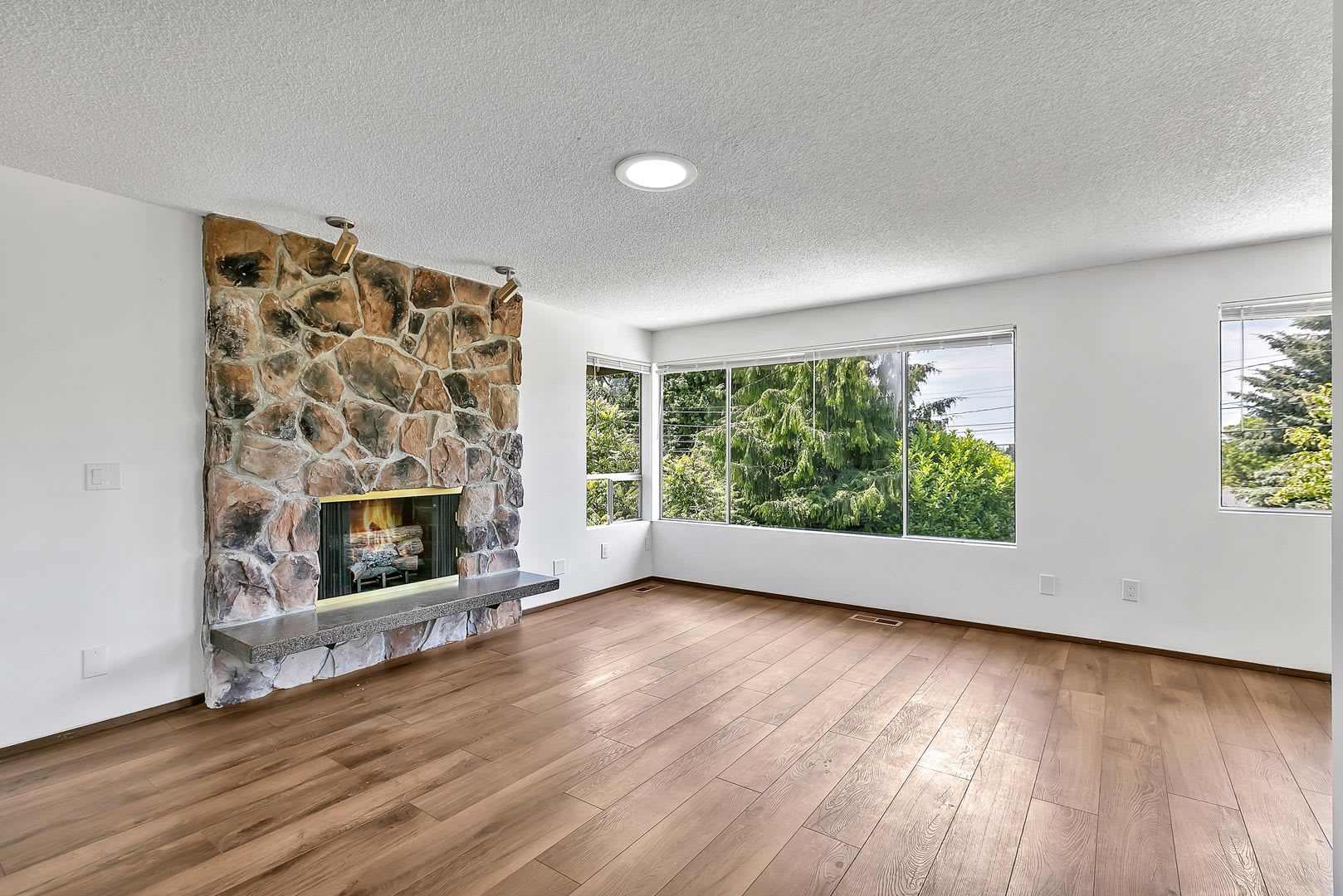 Fully Renovated 3BD Upper Duplex with Garage & Garden in West Seattle – photo 5