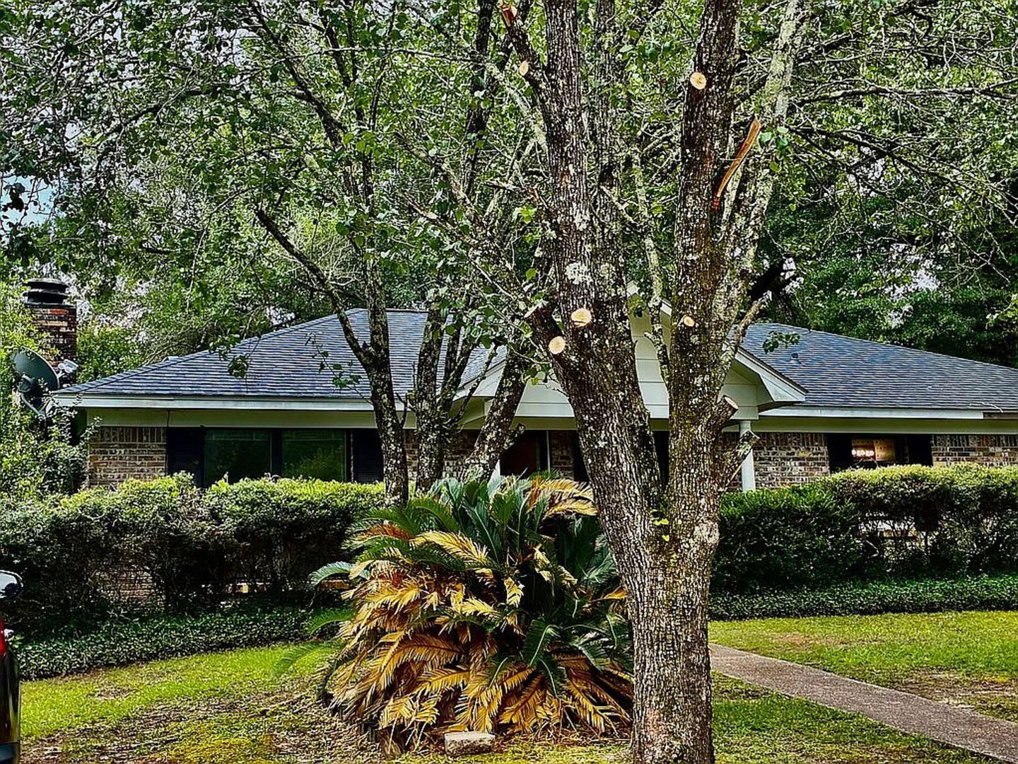 Charming 3BR House in Mobile – photo 1