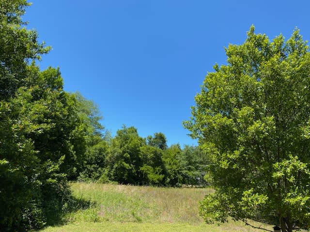 331 Black Ave – photo 2