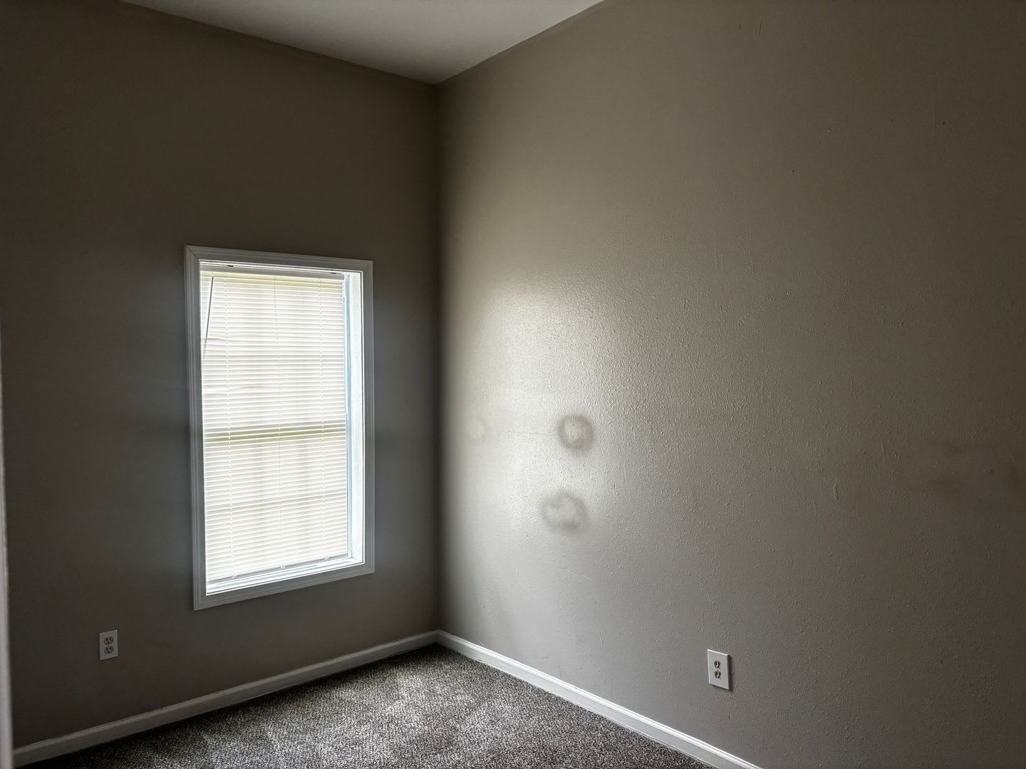 House for Rent – photo 5