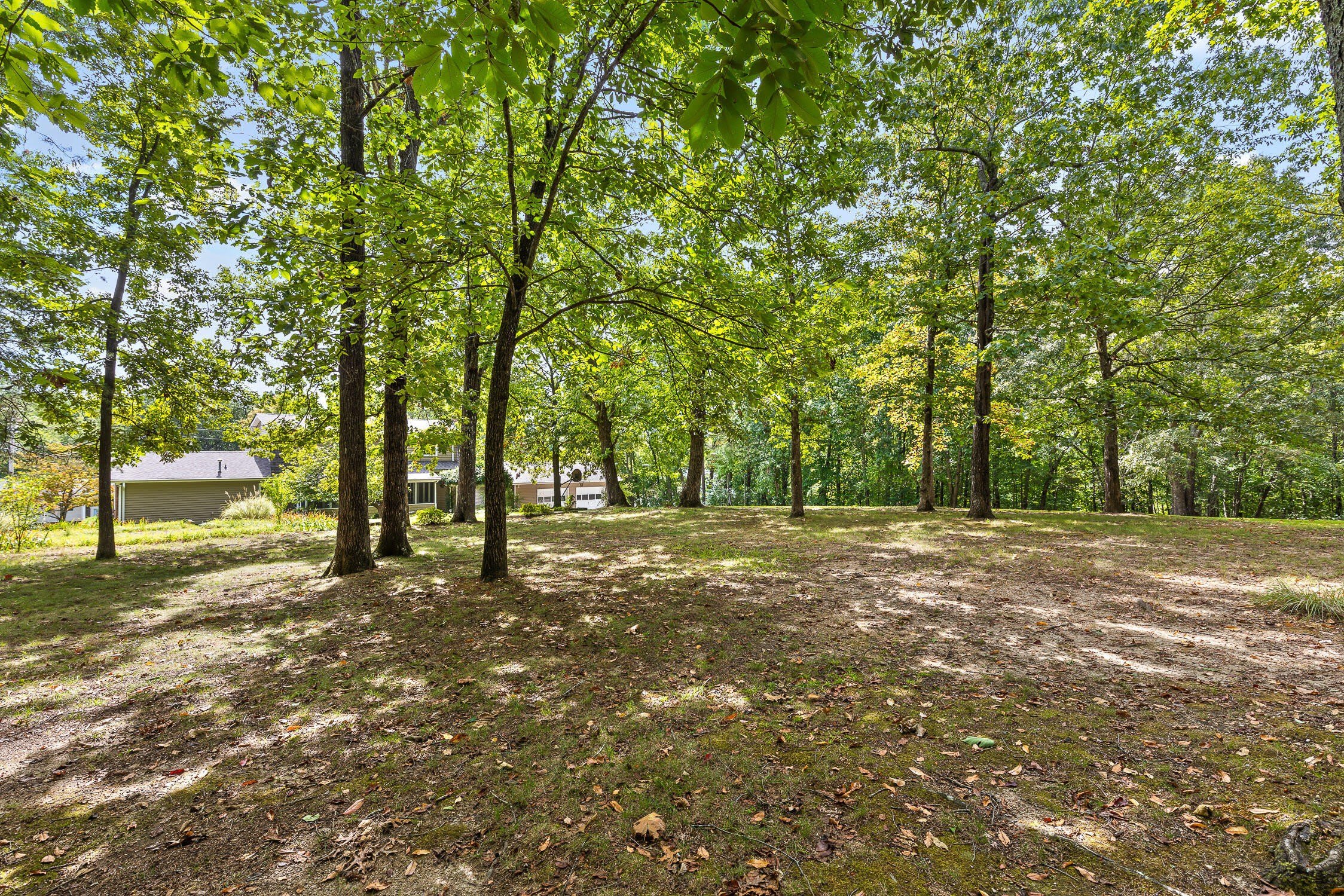 8693 Arbutus Drive – photo 3