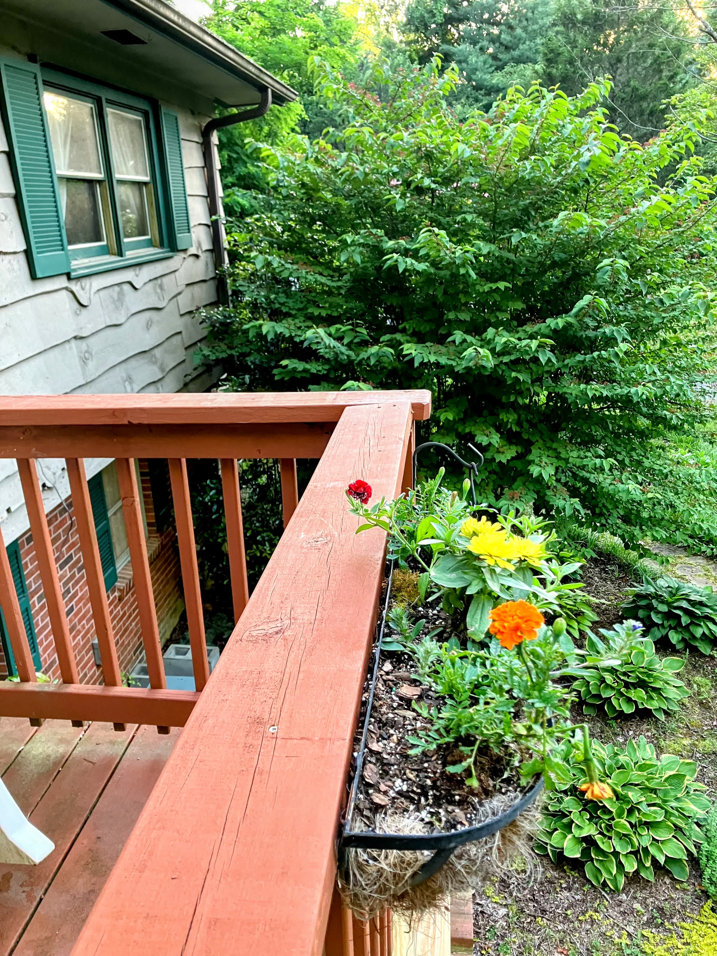 38 Bulldog Lane – photo 2