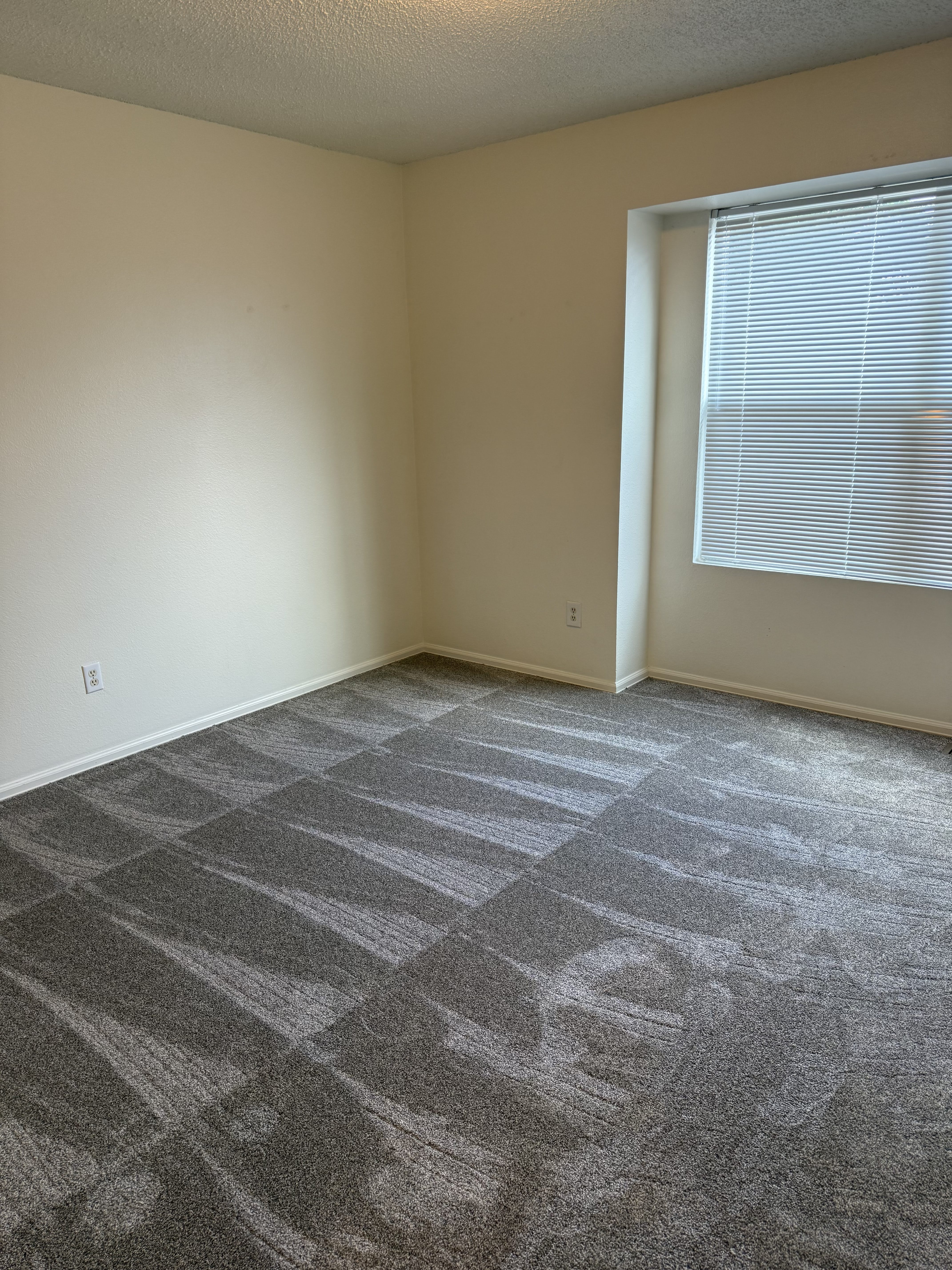 4807 Live Oak Dr – photo 4