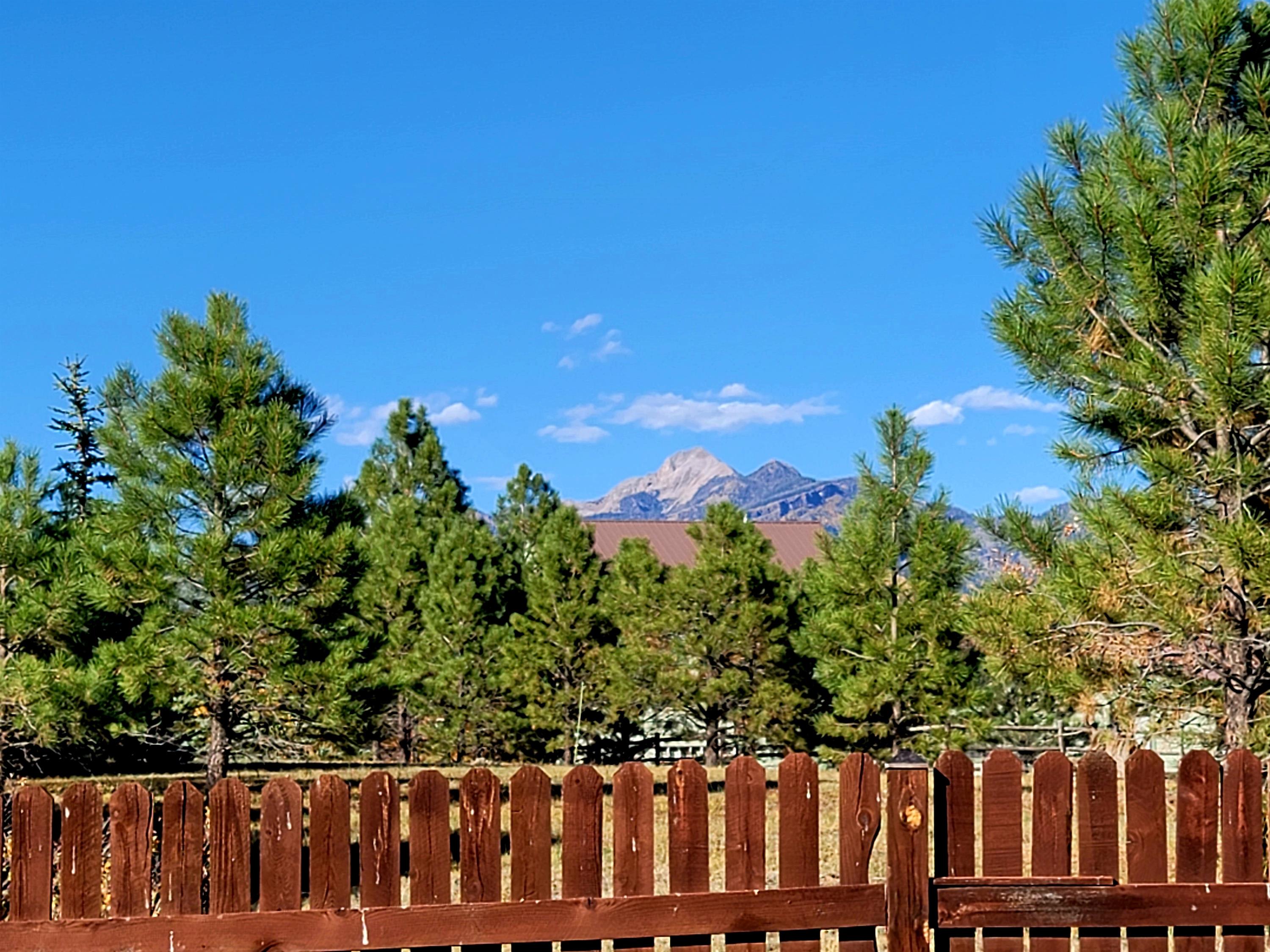 46 La Costa Court – photo 5