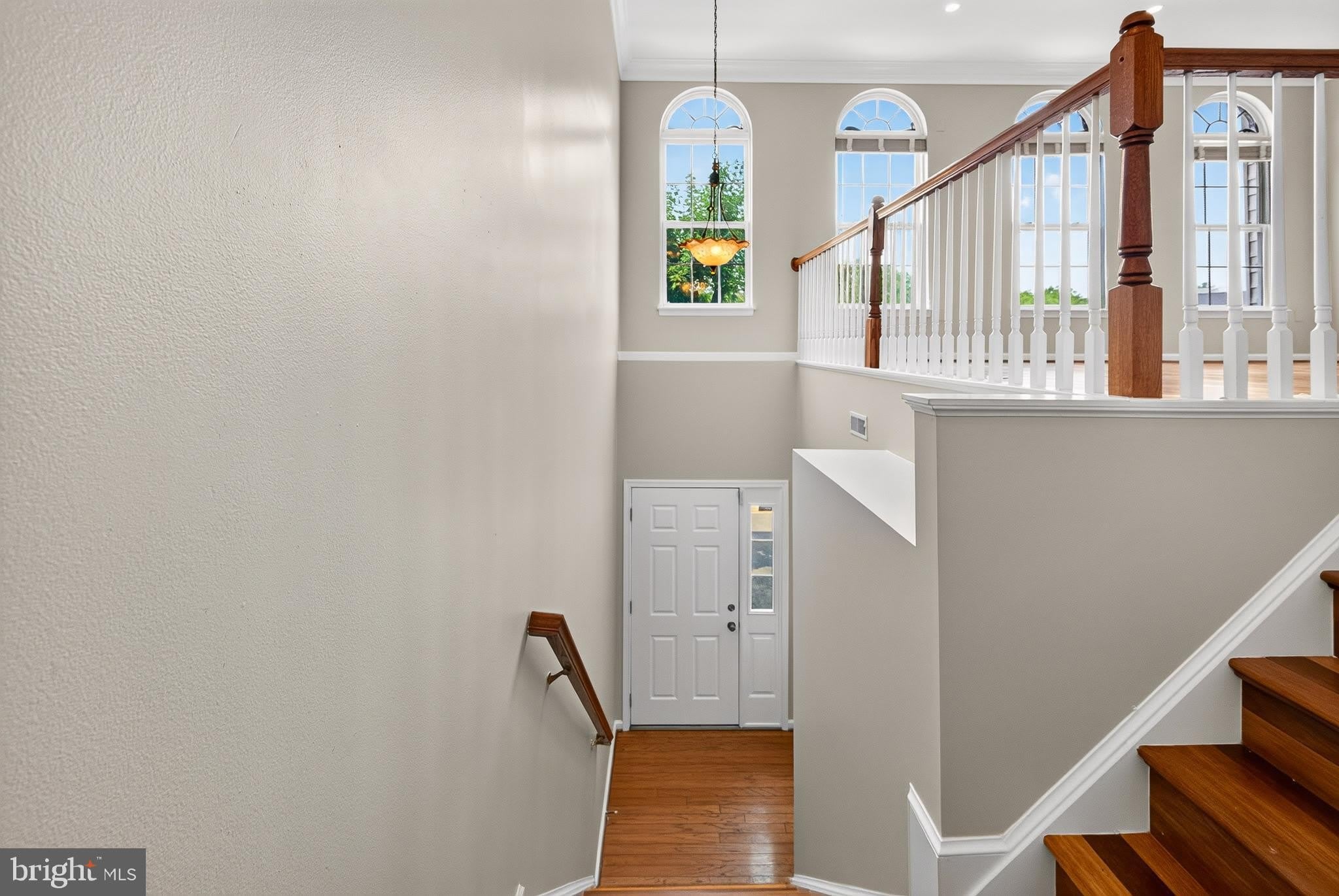 6805 OREGANO Lane – photo 5