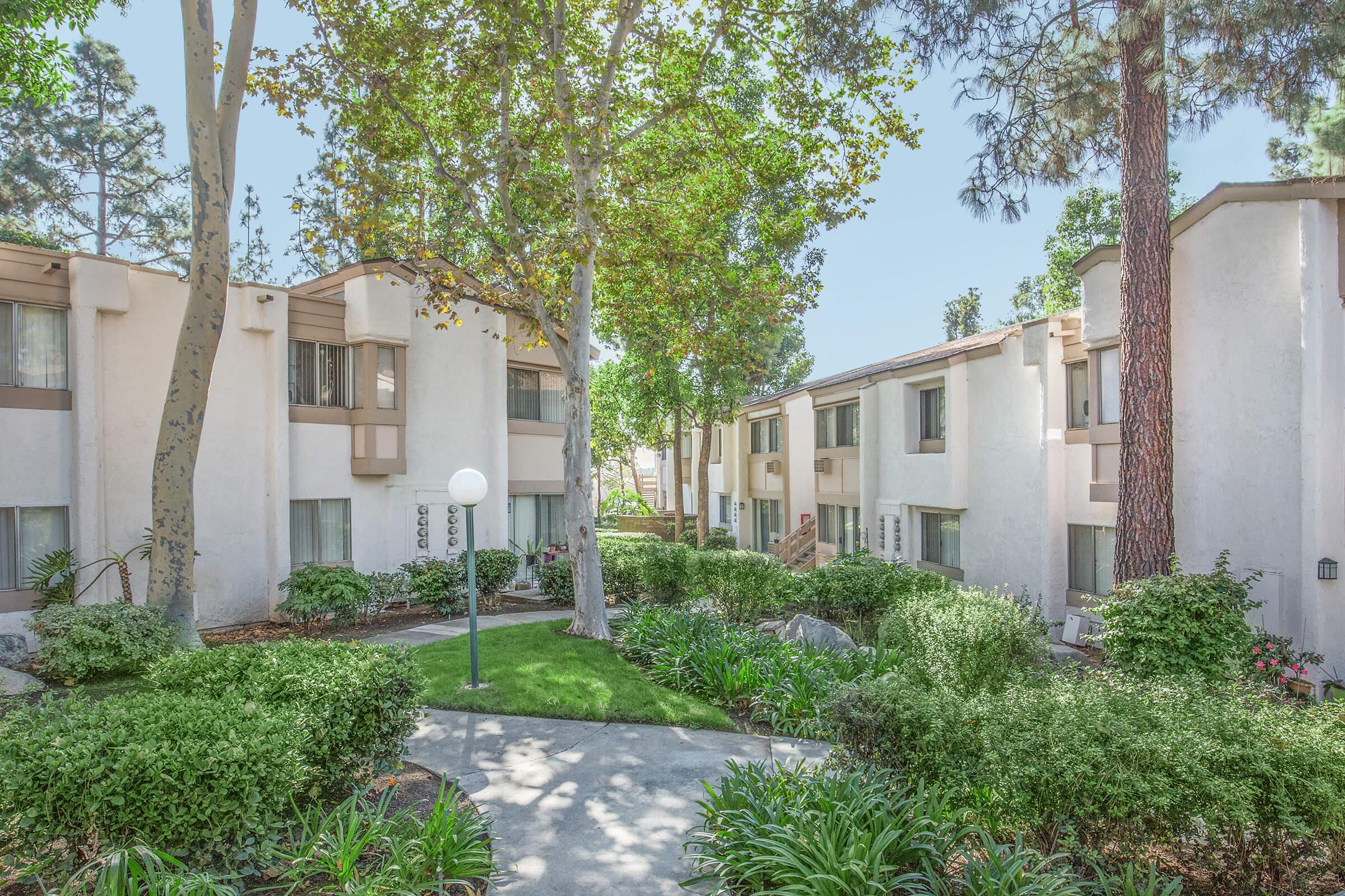 Country Woods Apartment Homes – photo 5