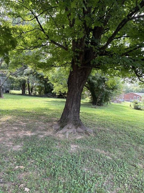 123 Stumphs Court – photo 4