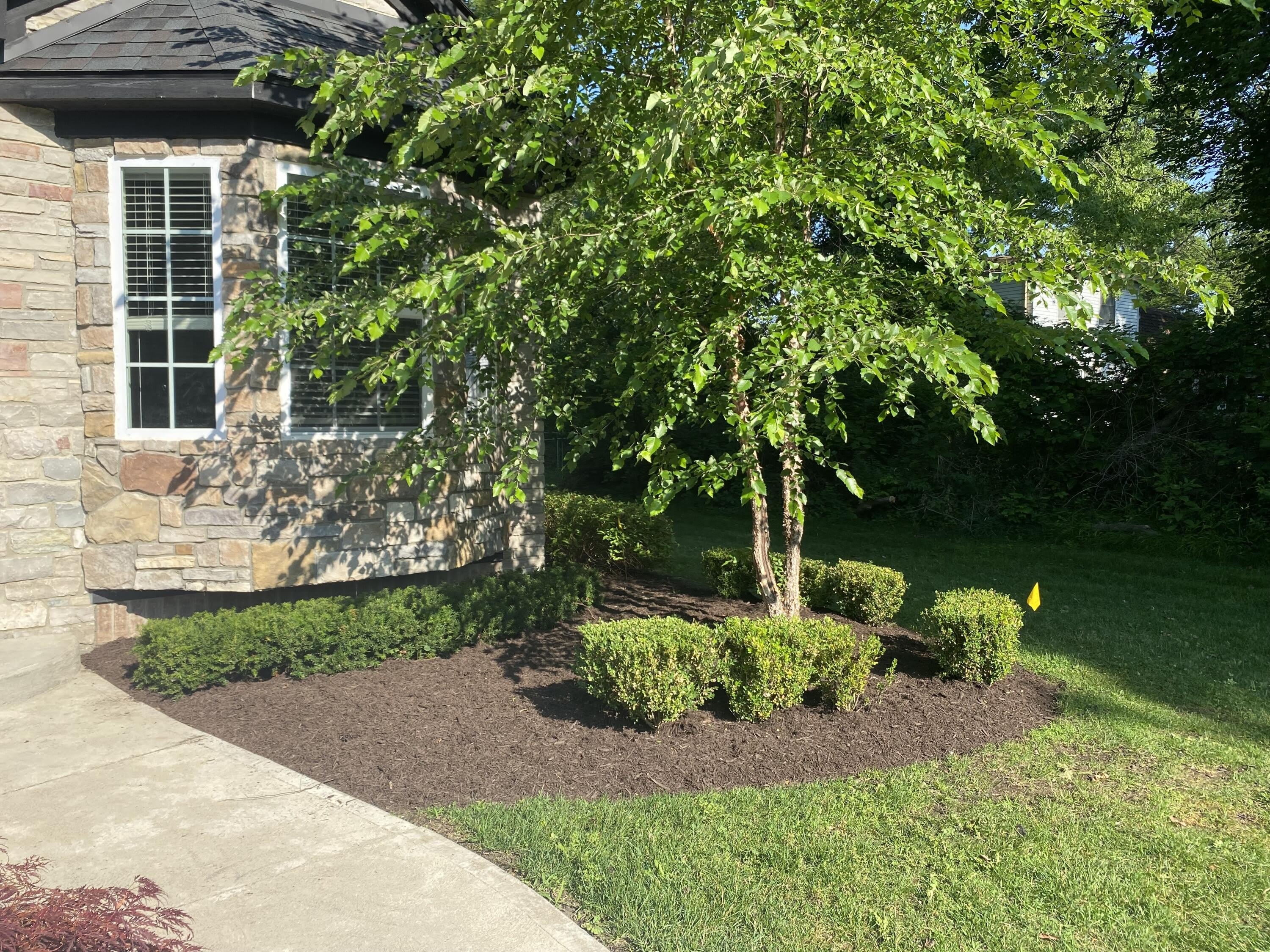 9915 Wayne Road – photo 3