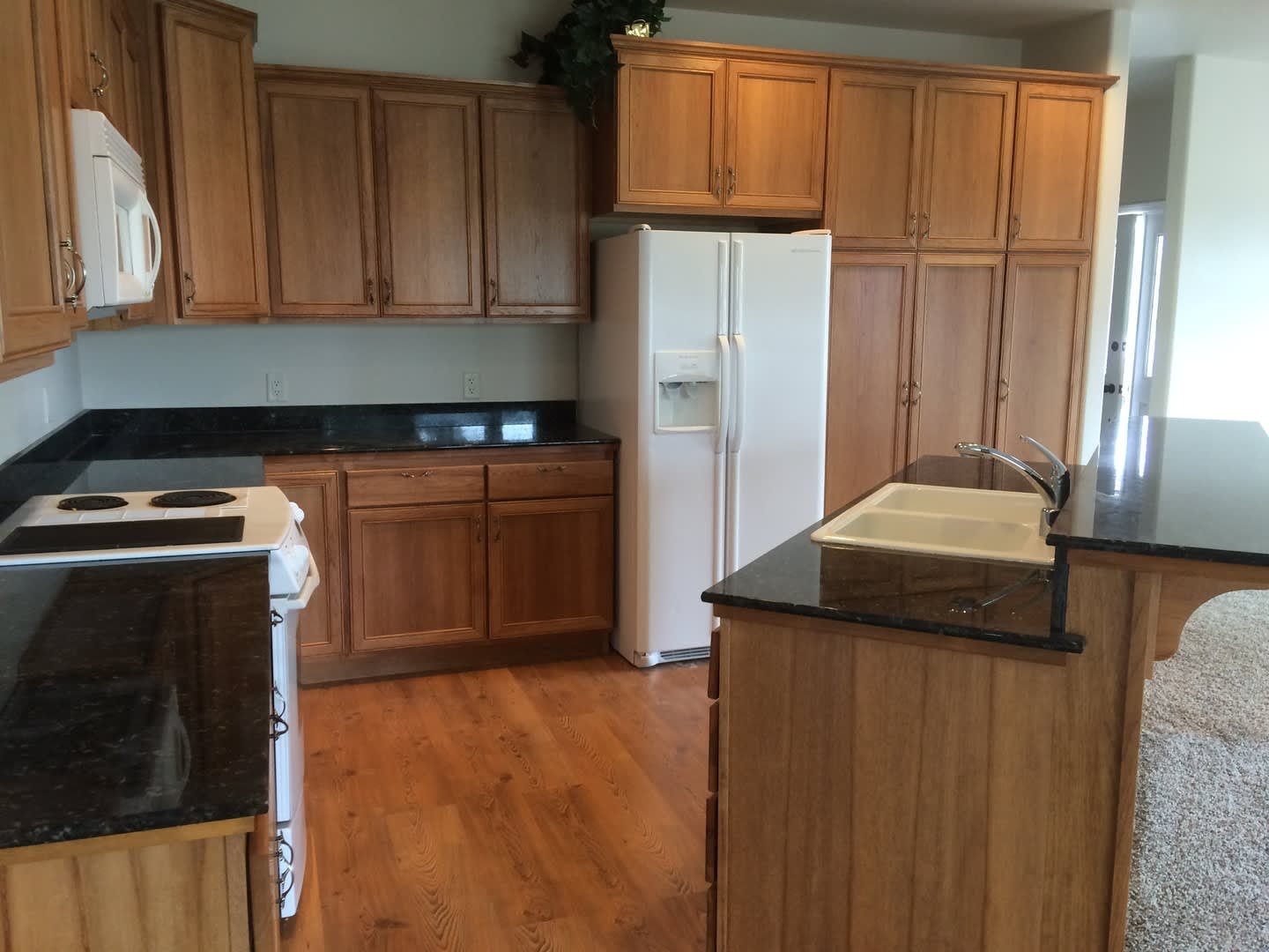 4 Bedroom Home on The Links Golf Course! WSG & Landscaping Included! – photo 5
