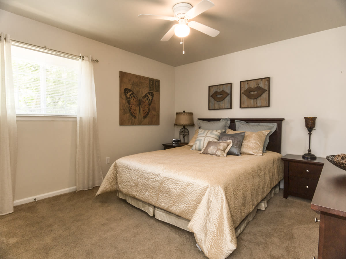 Salem Wood – photo 4