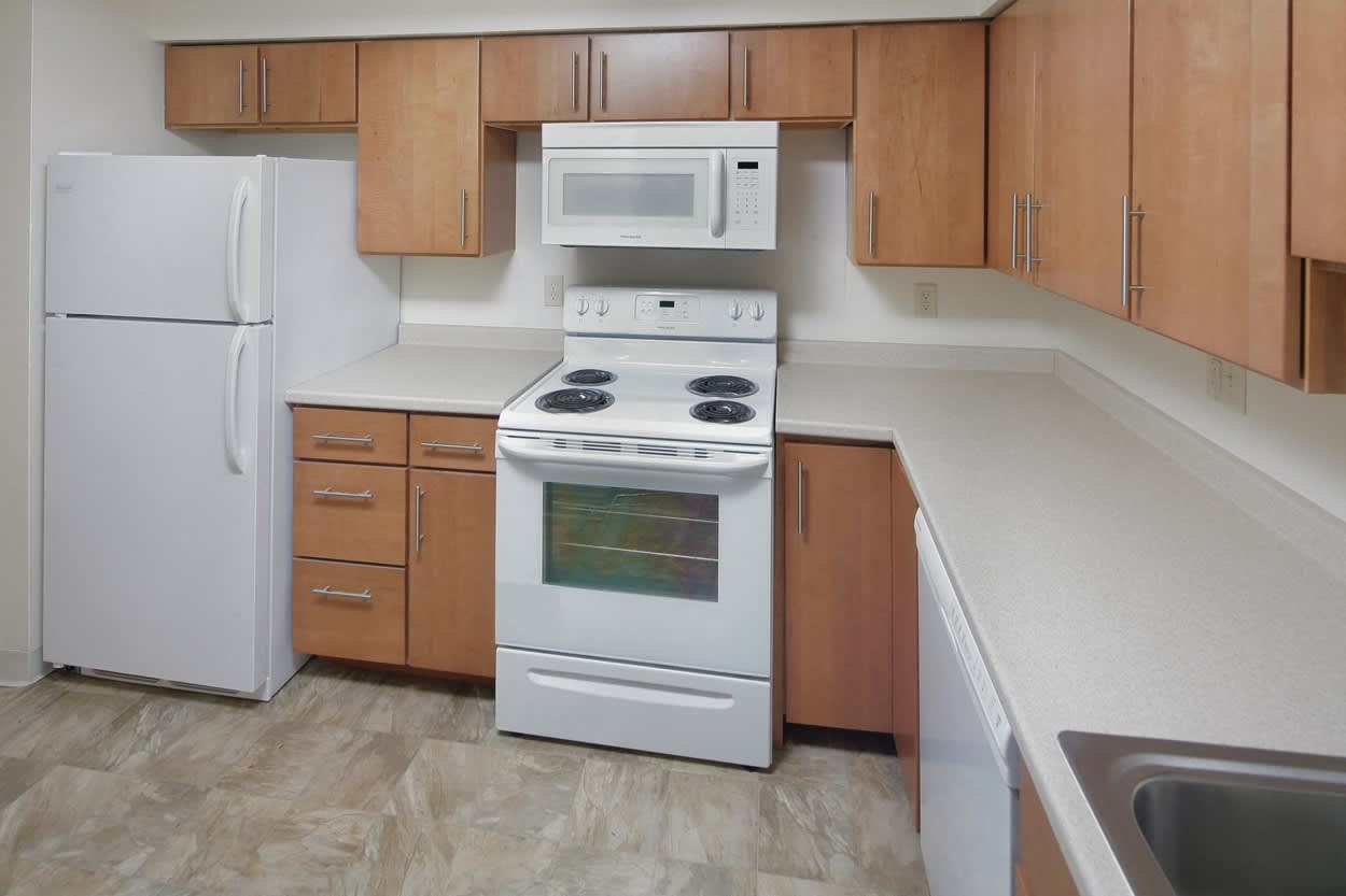 Oxford Apartments – photo 2