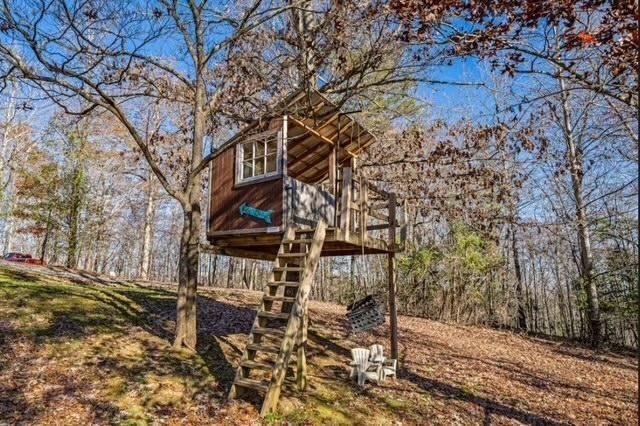 208 Wolf Trace – photo 5