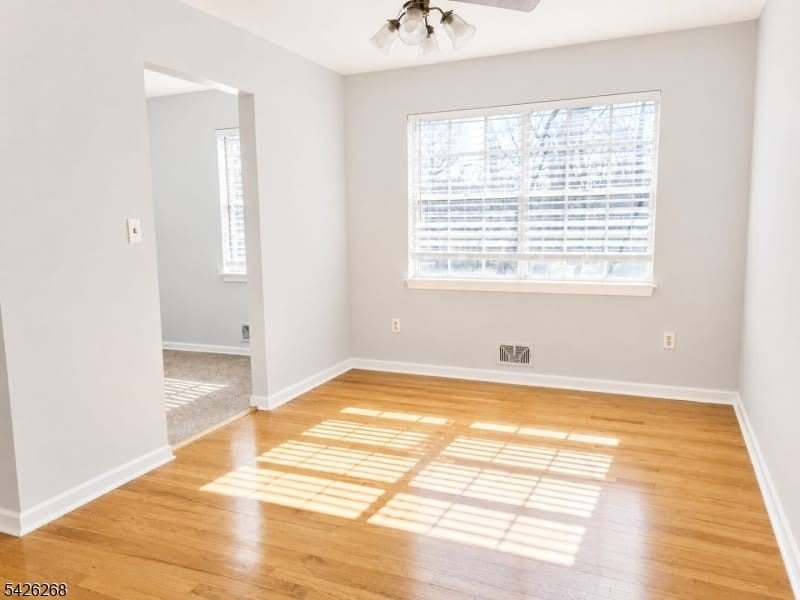 800 Old Springfield Ave – photo 3