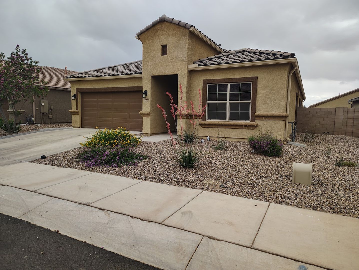 10075 N. Sand Sage Trail (85653) – photo 3