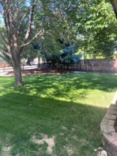 333 23rd Avenue – photo 2
