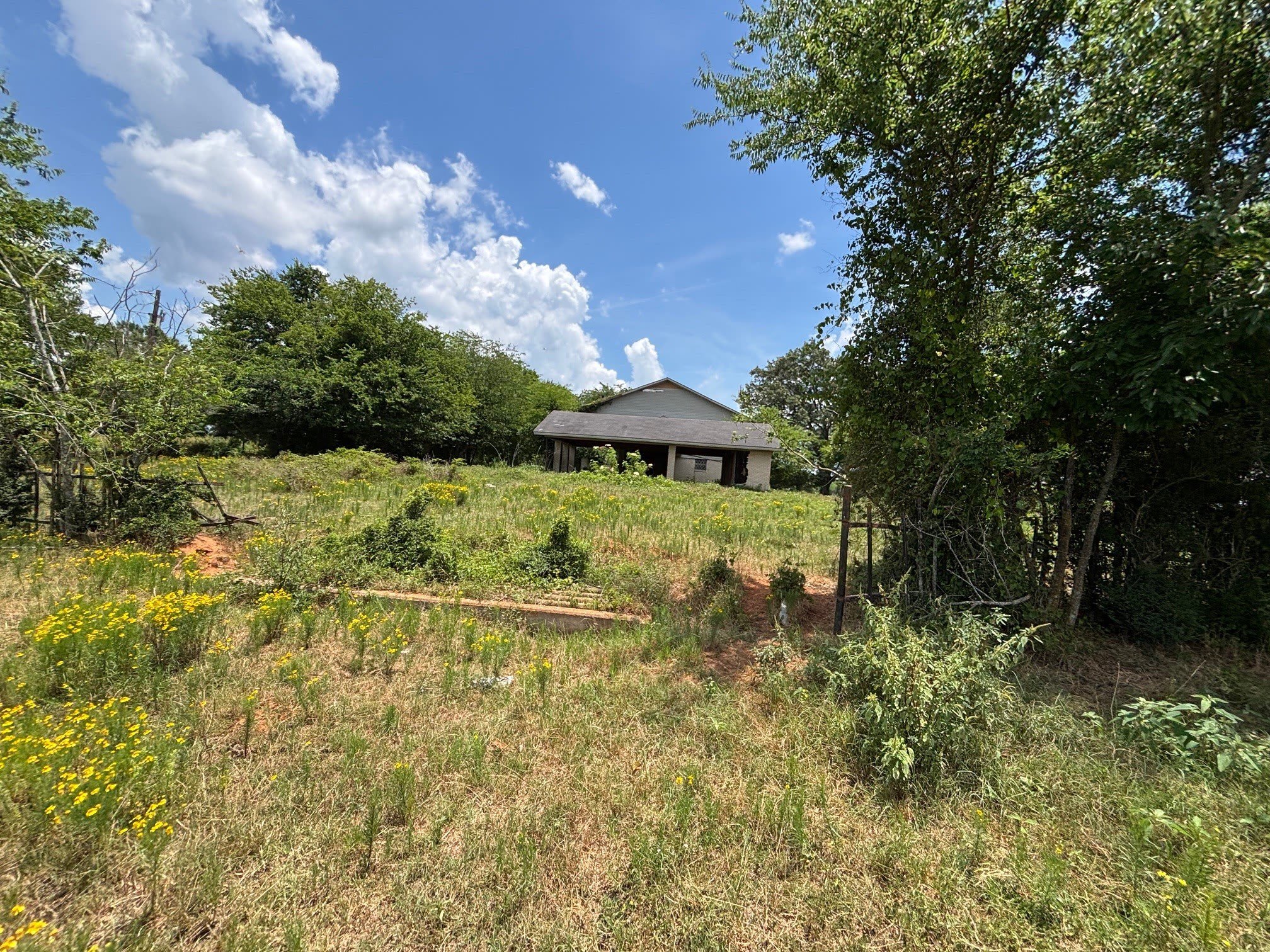 3834 Fenley Flat Road – photo 4