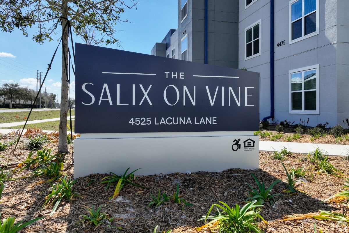 Salix on Vine – photo 5