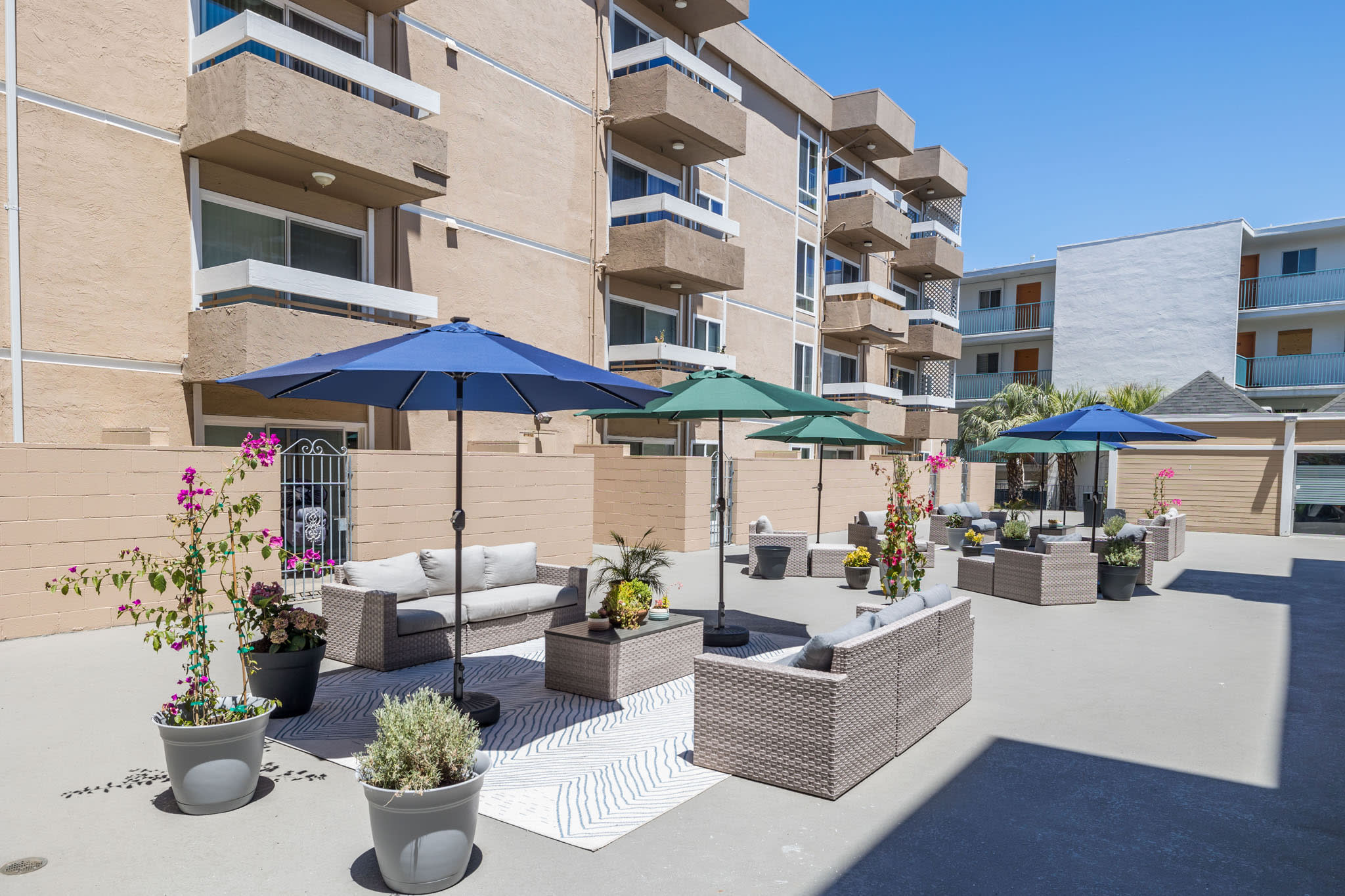 257 Vernon Apartments – photo 2