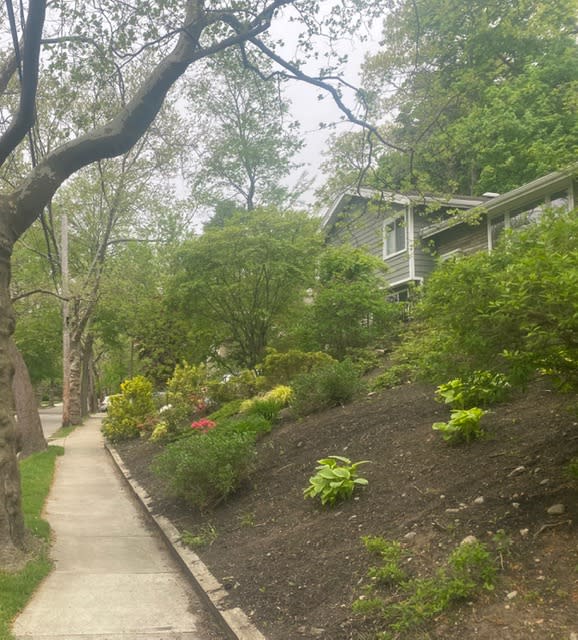 109 Wallis Road – photo 1