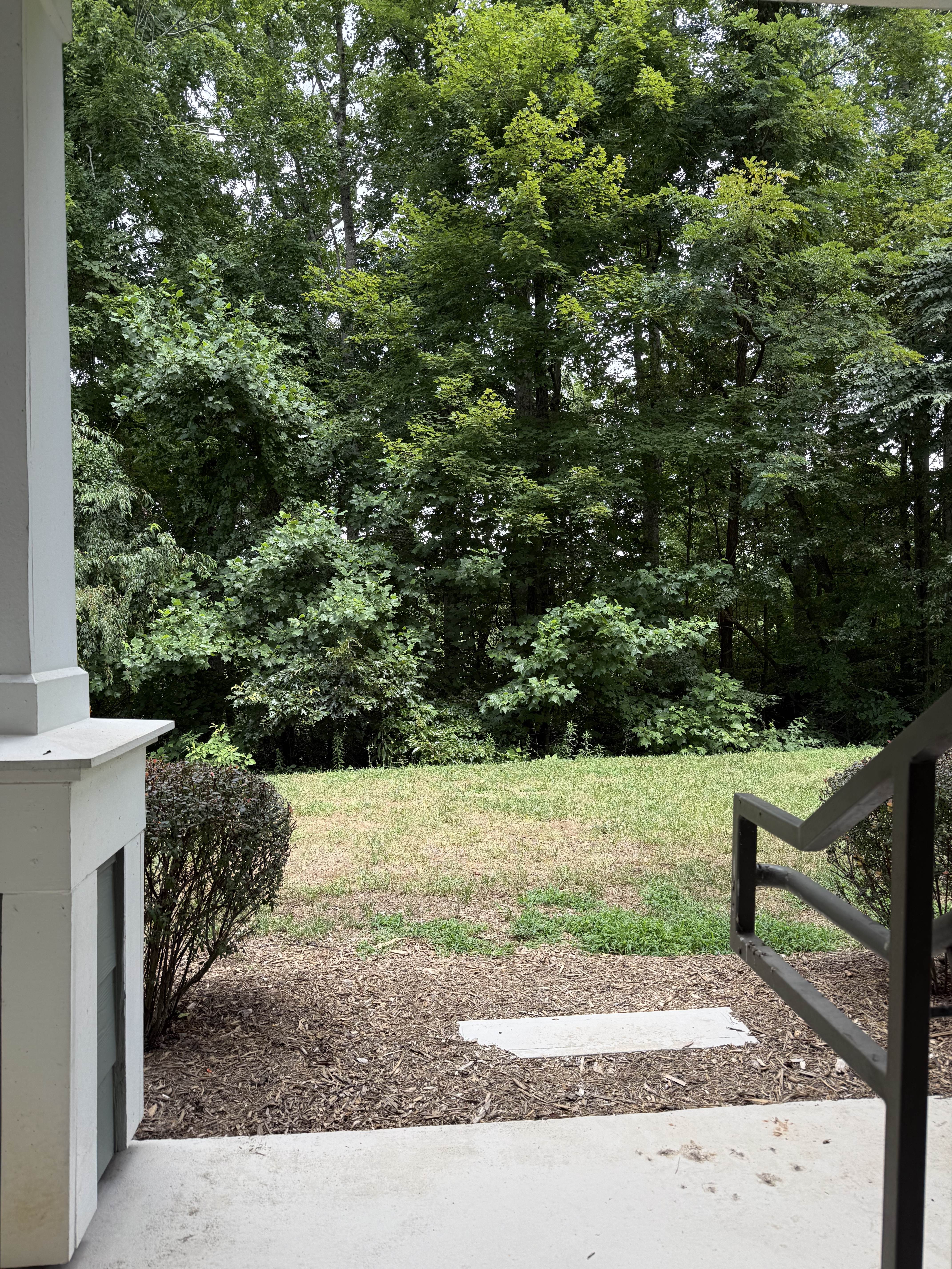 500 Vista Lake Dr Apt 4 – photo 3