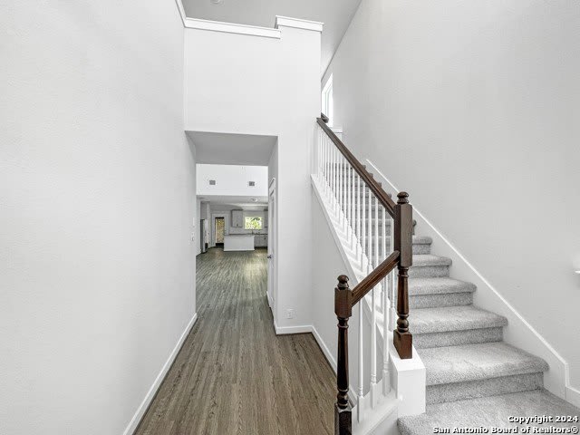 11234 Casina Vw – photo 2