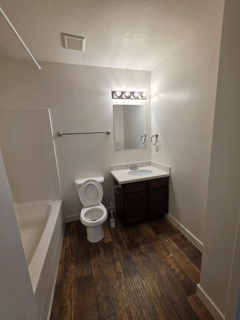3 Bed/2 Bath Townhome for Rent in Vineyard! – photo 4