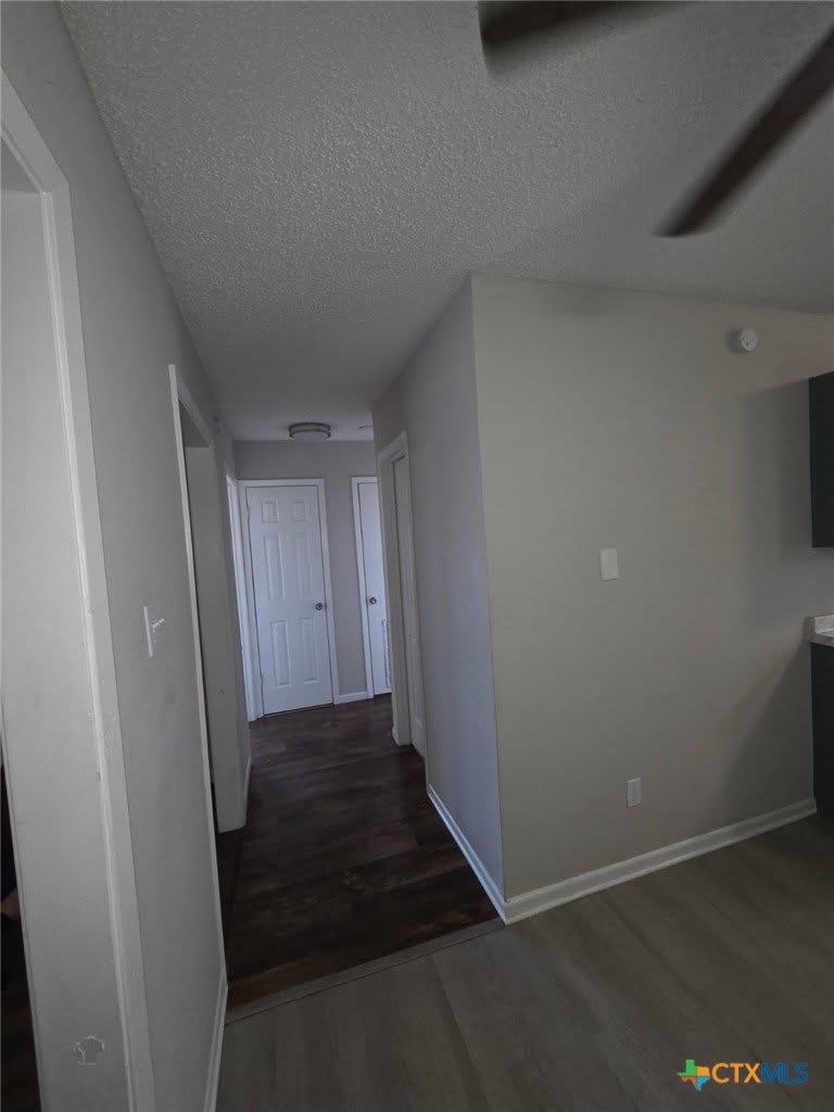 4302 Lake Road – photo 4