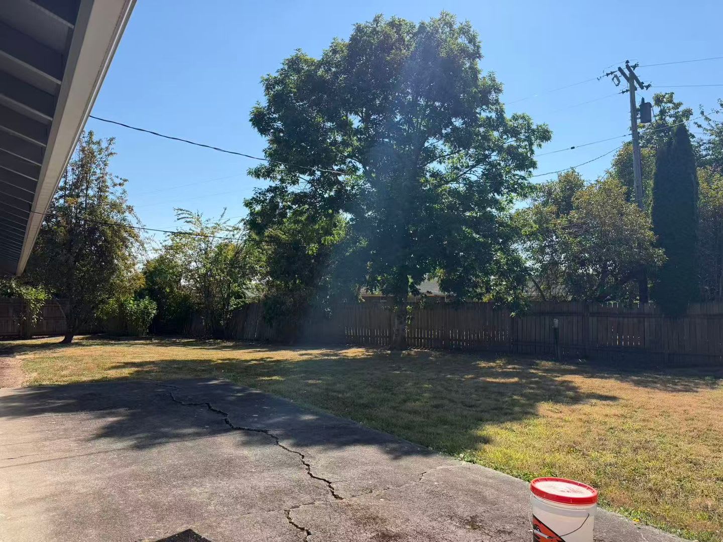 Remodeled Single-Level Home with Fenced Backyard – photo 3