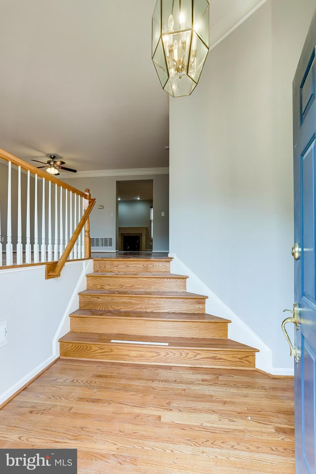 43709 CLEMENS Terrace – photo 4