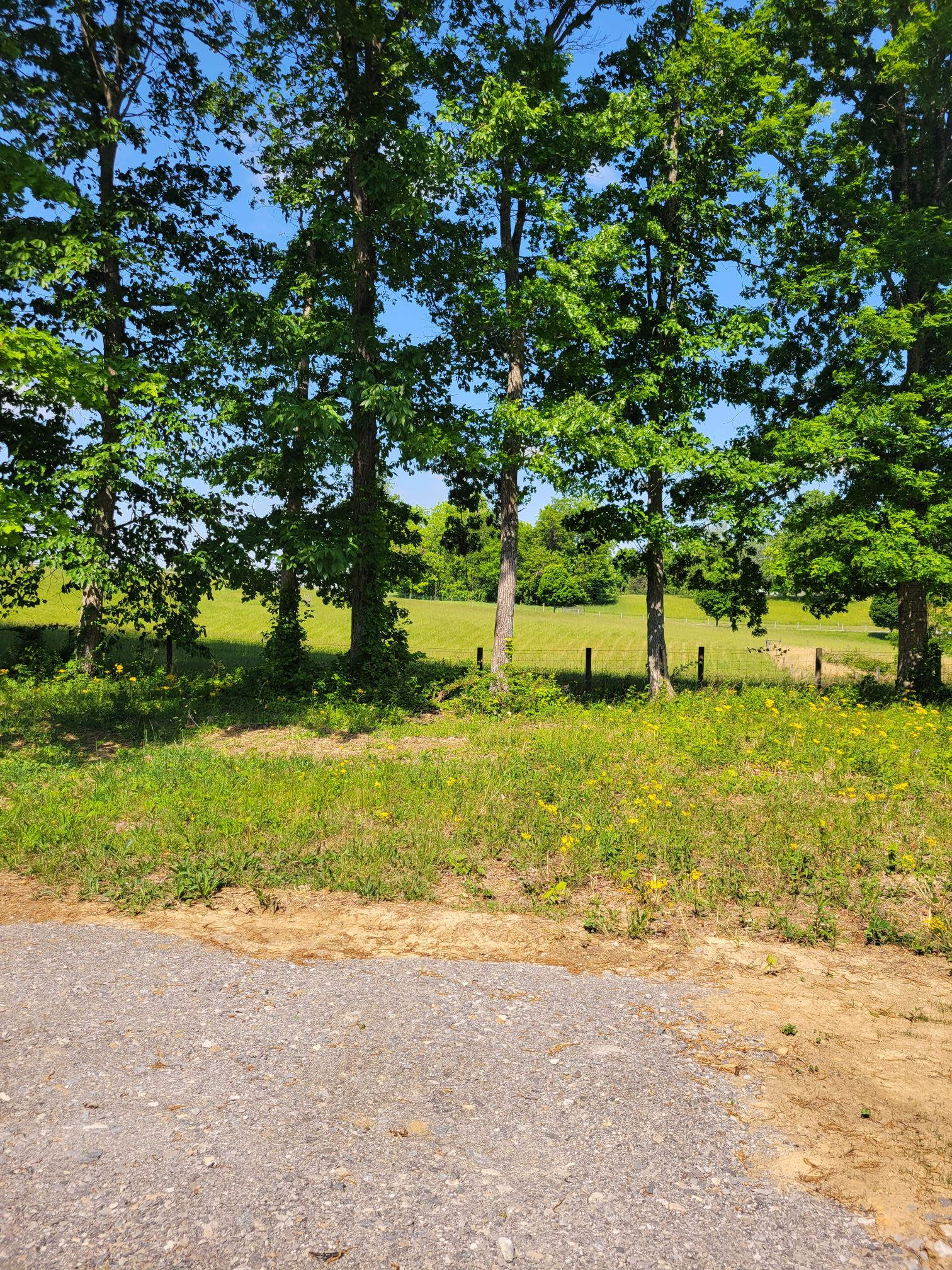 75 Everett Lane – photo 4