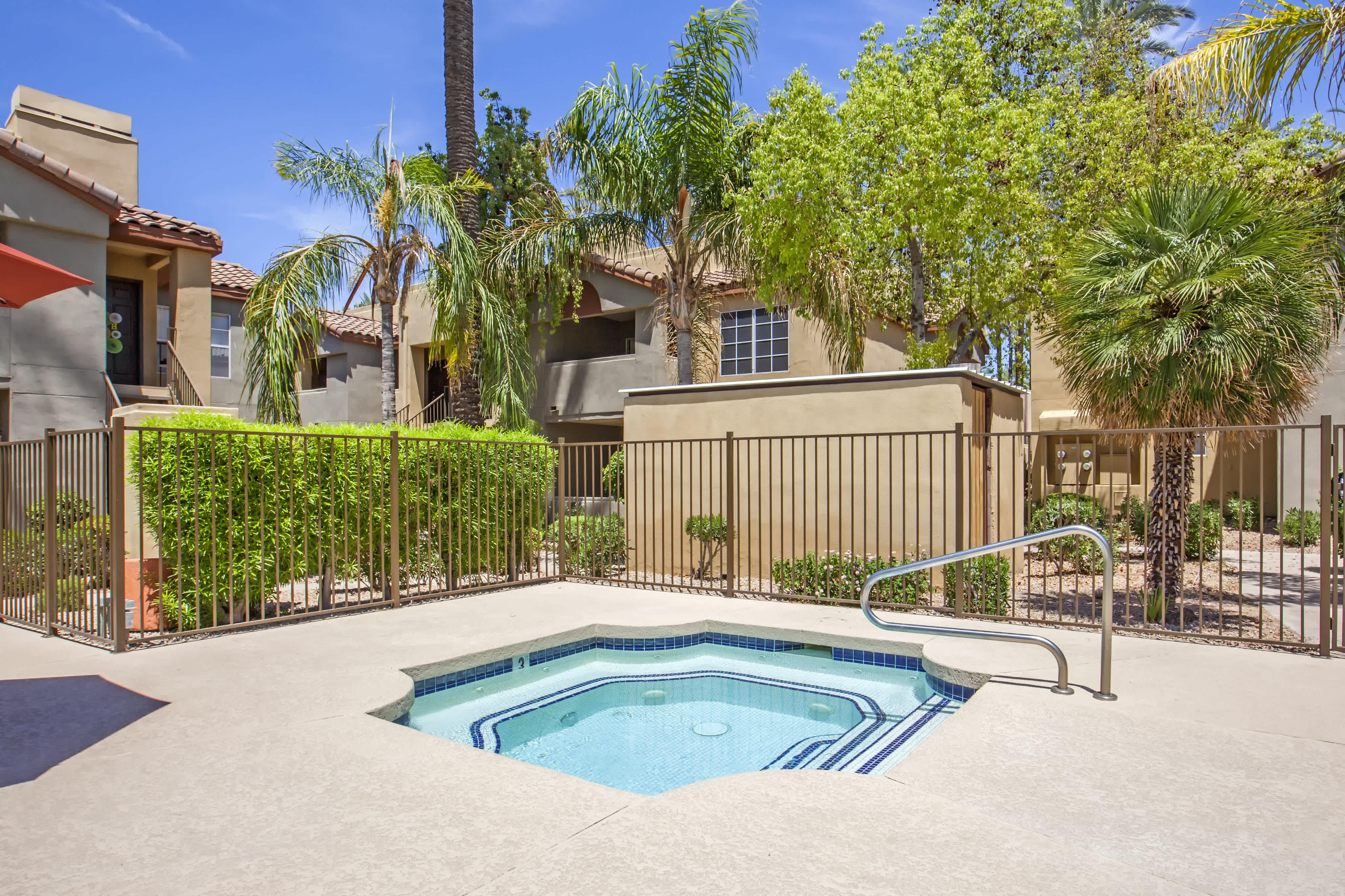 The Palms – photo 3